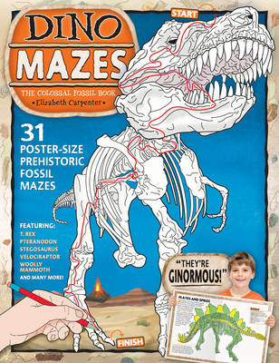 Book cover for Dino Mazes the Colossal Fossil Book