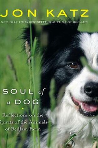 Cover of Soul of a Dog