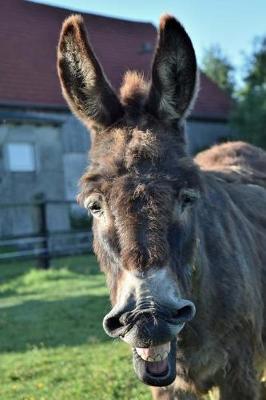 Book cover for Goofy Donkey Smiling Journal