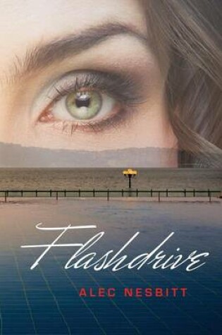 Cover of Flashdrive