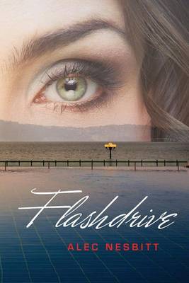 Book cover for Flashdrive