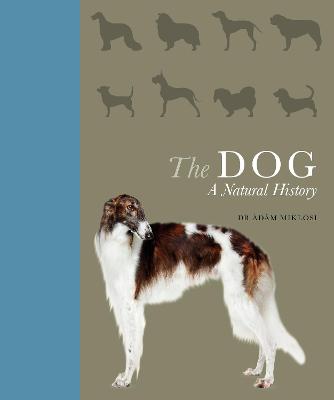 Book cover for The Dog