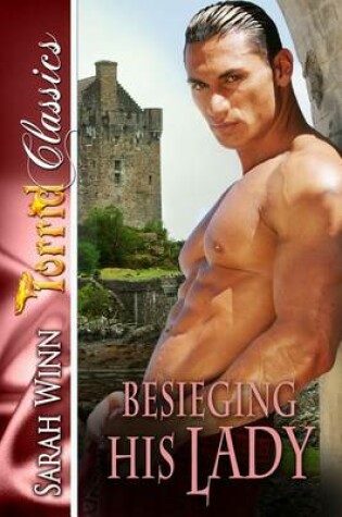 Cover of Besieging His Lady