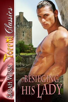 Book cover for Besieging His Lady