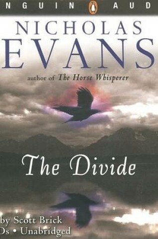 Cover of The Divide