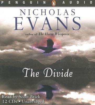 Book cover for The Divide