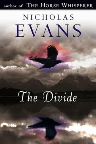 Cover of The Divide