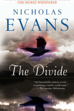 Cover of The Divide