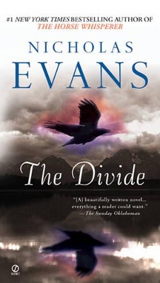 Book cover for The Divide