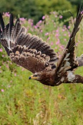 Cover of Steppe Eagle in Flight, Birds of the World