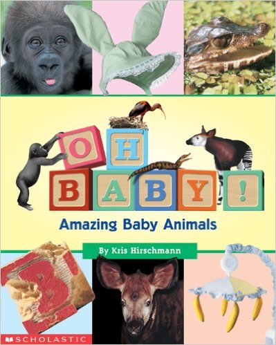 Book cover for Oh, Baby! Amazing Baby Animals