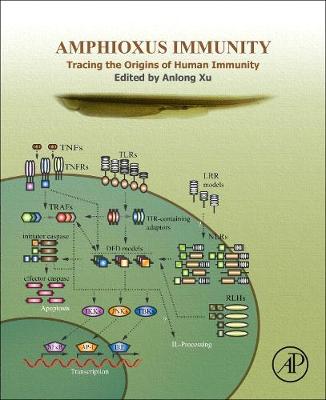 Book cover for Amphioxus Immunity