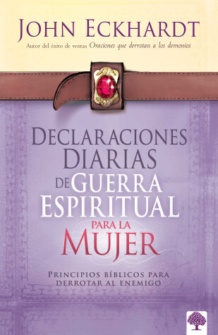 Book cover for Declaraciones Diarias de Guerra Espiritual Para La Mujer