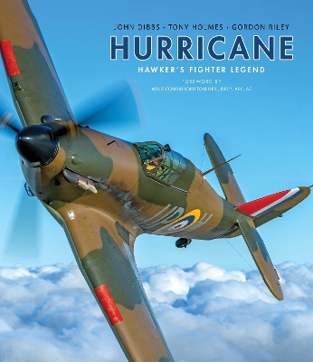 Book cover for Hurricane