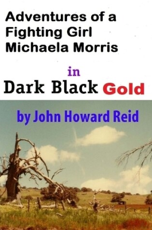 Cover of Adventures of a Fighting Girl Michaela Morris in Dark Black Gold