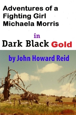 Book cover for Adventures of a Fighting Girl Michaela Morris in Dark Black Gold
