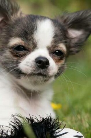 Cover of Chihuahua Puppy Smiling Journal