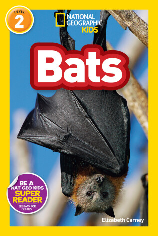 Book cover for National Geographic Readers: Bats