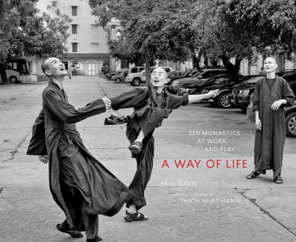 Book cover for A Way of Life