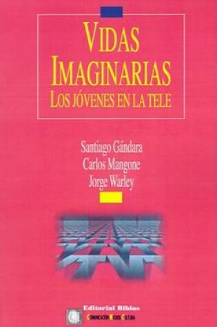 Cover of Vidas Imaginarias: Los Jovenes En La Tele