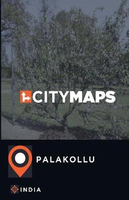 Book cover for City Maps Palakollu India