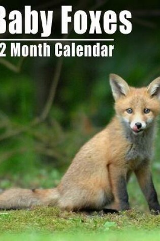 Cover of Calendrier 2021 Baby Foxes