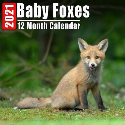 Book cover for Calendrier 2021 Baby Foxes