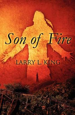 Book cover for Son of Fire