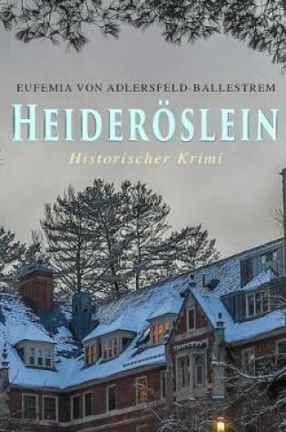 Cover of Heider�slein (Historischer Krimi)
