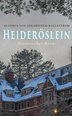 Book cover for Heider�slein (Historischer Krimi)