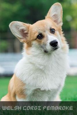 Book cover for Welsh Corgi Pembroke