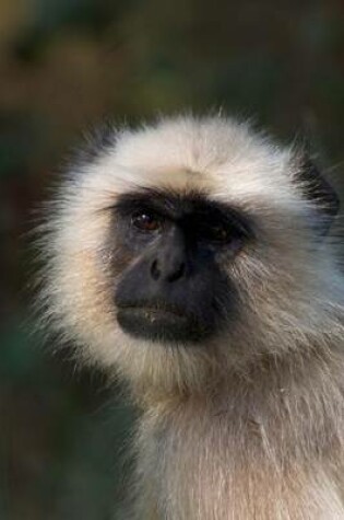 Cover of Gray Langur Monkey Portrait Journal