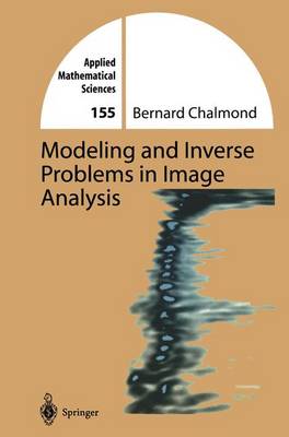 Book cover for Modeling and Inverse Problems in Imaging Analysis
