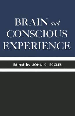 Book cover for Brain and Conscious Experience