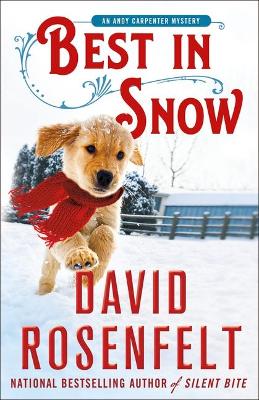 Book cover for Best in Snow