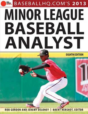 Book cover for 2013 Minor League Baseball Analyst