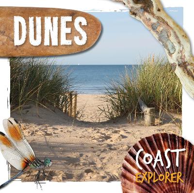Book cover for Dunes