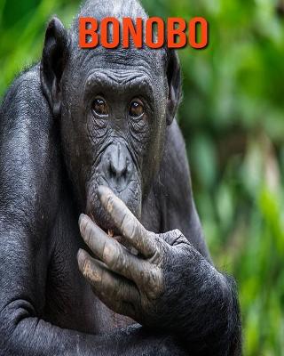 Book cover for Bonobo