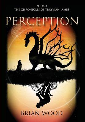 Book cover for Perception