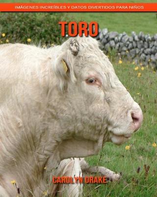 Book cover for Toro