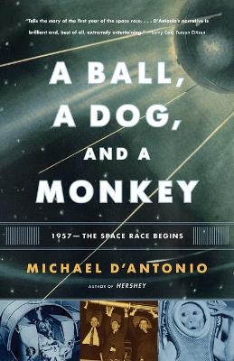 Book cover for A Ball, a Dog, and a Monkey