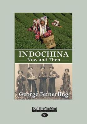 Book cover for Indochina Now and Then