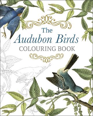 Book cover for The Audubon Birds Colouring Book