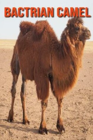 Cover of Bactrian Camel