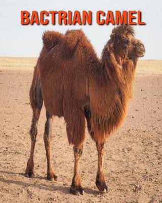 Book cover for Bactrian Camel