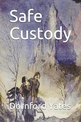Book cover for Safe Custody