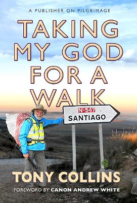 Book cover for Taking My God for a Walk