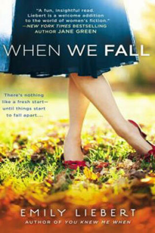 Cover of When We Fall