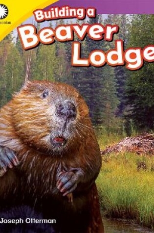 Cover of Building a Beaver Lodge