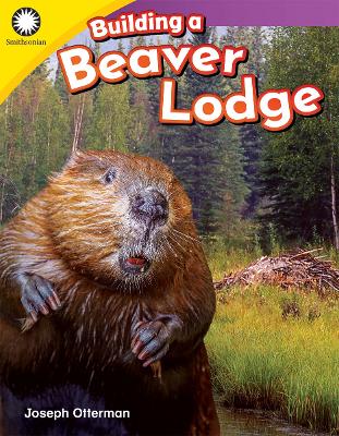 Cover of Building a Beaver Lodge